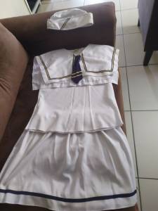 Vendo Fantasia