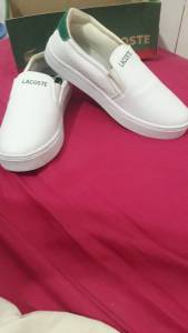 Sapato Lacoste