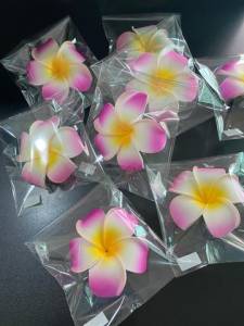 Presilhas Hawaiian Plumeria Flor