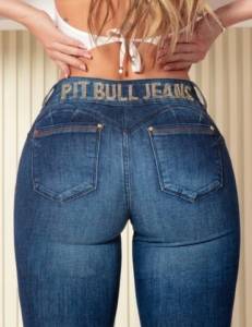 Cala Pit Bull
