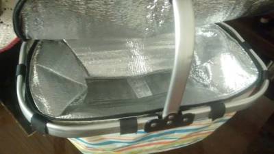 Cesta Trmica Dobrvel Em Polister E Alumnio R$70 (( Novo! ))