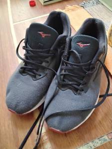 Tnis Mizuno