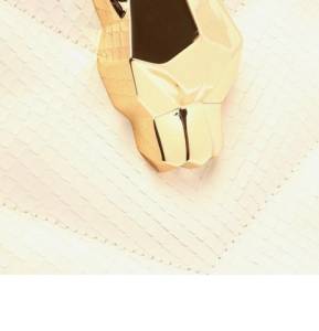 Bolsa Schutz Couro Coleo Tigre