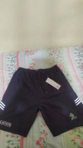 Bermuda Lacoste
