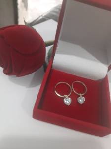 Argola Com Pingente De Ouro