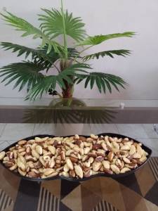 Castanha Do Par