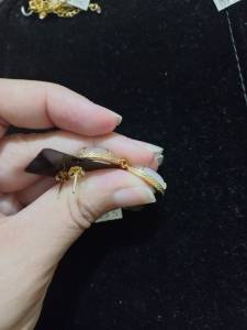 70 Reais Brinco Semijoia Styllus Interessadas *