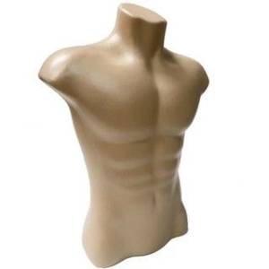 Busto Masculino E Feminino