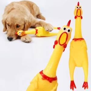 Frango Galinha Galo De Borracha Pet 29cm Ps64