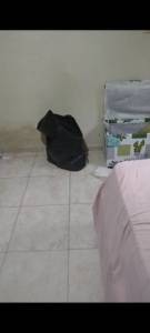 Doao E Pedido De Doaes