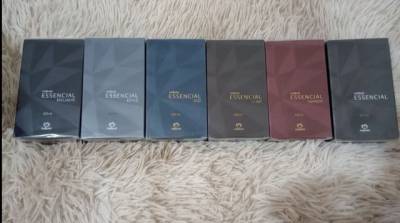 Essencial Por Apenas R$150,00