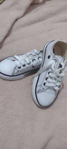 Allstar Novo Tam26