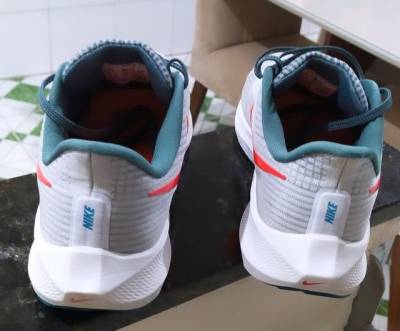 Tnis Nike Air Zoom Pegasus