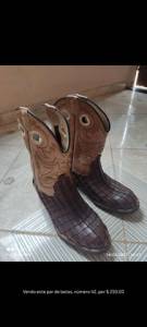Bota