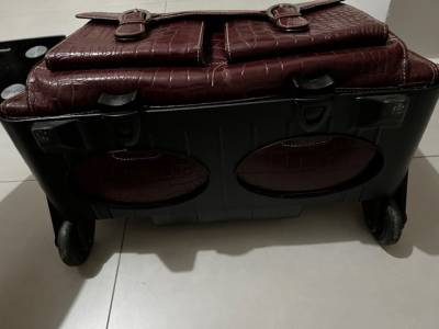 Bolsa De Rodinhas Executiva