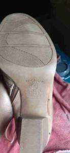 Bota