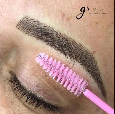 Curso Micropigmentao
