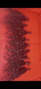 Cabelo Humano