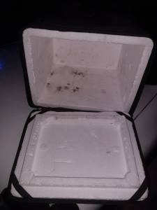 Mochila Entregas