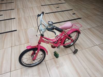 Bicicleta Infantil Aro 16