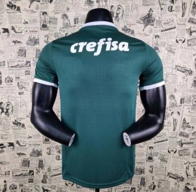 Camisa Do Palmeiras Padro Original