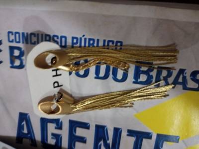 Relgio Sculus E Brinco
