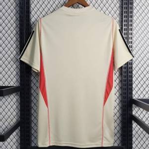Camisa Do Flamengo De Treino 23/24