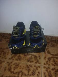 Mizuno Prophecy 2.