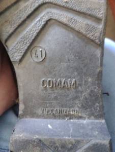 Bota