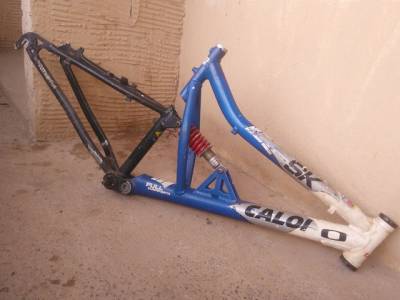 Caloi