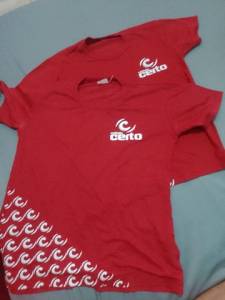 2 Blusa Tamanho 10 E 12
