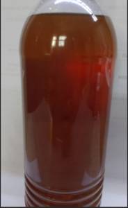 Mel De Abelha Ervas Nativas - 500ml