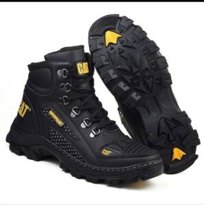 Bota