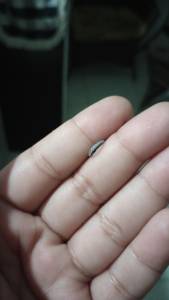Piercing De Titnio E Ao