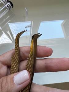 2 Pinas Clios Sobelle