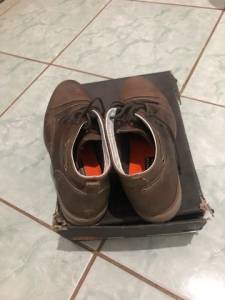 Bota