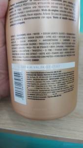 Shampoo Absolut Reparo Loreal Original