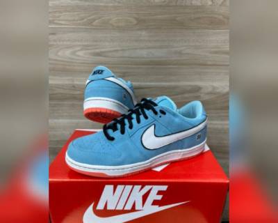 Tnis Nike Sp Edio Especial