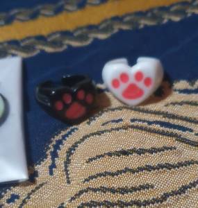 Colar + 2 Anis De Patinha
