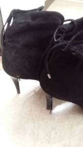 Bota