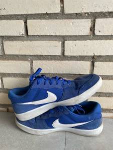 Nike Sb Force 58