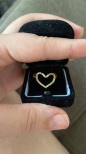 Vendo Anis De Ouro 18k