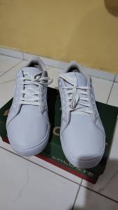 Tnis Lacoste