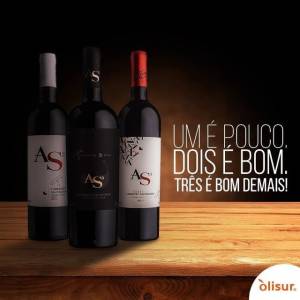Vinho Chileno Safra 2015/17