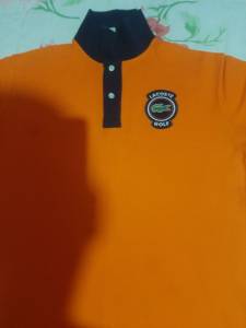 Camisa