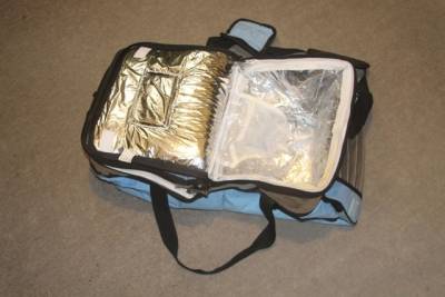 Bolsa Trmica Cooler 48 Litros Com 2 Divisrias