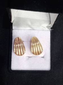 Brincos Folheado A Ouro 18k