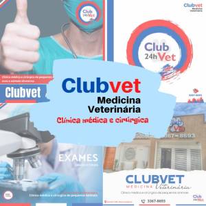 Veterinrio Em Domiclio