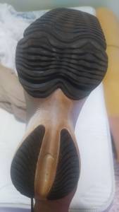 Tnis Nike Air Zoom N40