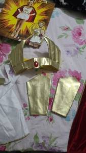 Fantasia De Carnaval She- Ram